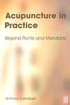  Acupuncture in Practice: Beyond Points & Meridians (View larger image)