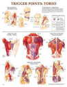  Trigger Points 1 & II Charts (Flexible Lamination) (View larger image)