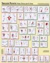  Trigger Points Charts: Set of Two (Head