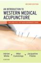  An Introduction to Western Medical Acupuncture (An Introduction to Western Medical Acupuncture)