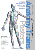  Anatomy Trains: Posters (View larger image)