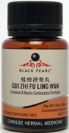  Gui Zhi Fu Ling Wan: Cinnamon & Hoelen Combination (Gui Zhi Fu Ling Wan: Cinnamon & Hoelen Combination [BP055])