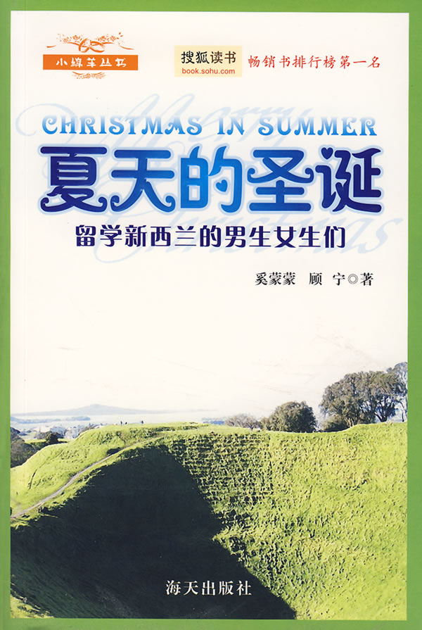  Christmas in Summer/Xiatian de Shengdan (View larger image)