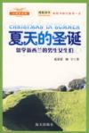  Christmas in Summer/Xiatian de Shengdan (View larger image)