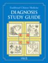  Traditional Chinese Medicine Diagnosis Study Guide (View larger image)