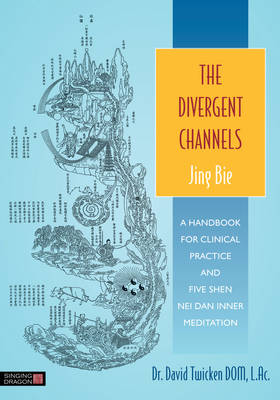  Divergent Channels - Jing Bie: (Cover Image)