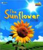  Cool Panda: Nature - The Sun Flower (Big Book) (Cool Panda: Nature - Go Camping! (Big Book))