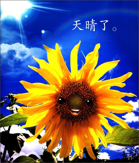  Cool Panda: Nature - The Sun Flower (Big Book) (Cool Panda: Nature - Go Camping! (Big Book))