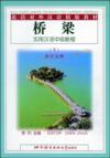  *Bridge - Practical Chinese Intermediate: Course 2