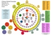  Chinese Herbal Formulae Chart (Chinese Herbal Formulae Chart)