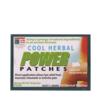  Cool Herbal Power Patches :Shang Shi Zhi Tong Plas (Cool Herbal Power Patch: Shang Shi Zhi Tong Plaster)