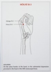  A Manual of Acupuncture: Point Cards (View sample card)