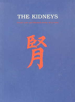  The Kidneys (View larger image)